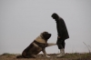 Filename=Erbin_kannsa.jpg
Filesize=15KiB
Dimensions=640x427
Date added=%858 %26, %2012 Erbin_kannsa.jpg
