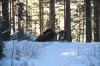 Filename=Guarding.JPG
Filesize=243KiB
Dimensions=640x427
Date added=%850 %11, %2013 Guarding.JPG