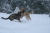Filename=Leikki_.jpg
Filesize=64KiB
Dimensions=640x427
Date added=%582 %27, %2009 Leikki_.jpg