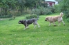 Filename=Pihalla.JPG
Filesize=219KiB
Dimensions=640x427
Date added=%777 %24, %2009 Pihalla.JPG