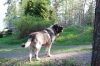 Filename=Quantum_01.jpg
Filesize=77KiB
Dimensions=640x427
Date added=%813 %21, %2013 Quantum_01.jpg