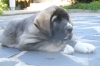 Filename=Quantum_10.JPG
Filesize=148KiB
Dimensions=640x427
Date added=%497 %06, %2010 Quantum_10.JPG