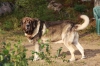 Filename=Quantum_10.jpg
Filesize=57KiB
Dimensions=640x427
Date added=%896 %02, %2014 Quantum_10.jpg