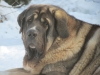 Filename=Quantum_222.JPG
Filesize=87KiB
Dimensions=640x480
Date added=%790 %04, %2012 Quantum_222.JPG