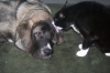 Filename=Quatntum1.JPG
Filesize=156KiB
Dimensions=640x427
Date added=%888 %11, %2010 Quatntum1.JPG