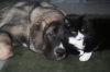 Filename=Quatntum2.JPG
Filesize=155KiB
Dimensions=640x427
Date added=%889 %11, %2010 Quatntum2.JPG