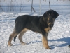 Filename=Ruana14.jpg
Filesize=316KiB
Dimensions=640x480
Date added=%741 %02, %2009 Ruana14.jpg