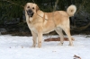 Filename=Smile_Trueno.JPG
Filesize=166KiB
Dimensions=640x427
Date added=%681 %02, %2009 Smile_Trueno.JPG