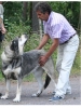 Filename=Todobien.jpg
Filesize=61KiB
Dimensions=480x640
Date added=%701 %15, %2010 Todobien.jpg