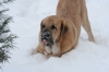 Filename=Trueno_10.JPG
Filesize=124KiB
Dimensions=640x427
Date added=%796 %05, %2010 Trueno_10.JPG