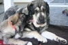Filename=Un_beso.JPG
Filesize=172KiB
Dimensions=640x427
Date added=%840 %28, %2010 Un_beso.JPG