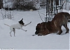 Filename=Uzi_Lu_Dareva_5.jpg
Filesize=223KiB
Dimensions=1544x1125
Date added=%795 %27, %2021 Uzi_Lu_Dareva_5.jpg