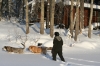 Filename=Winter_2.JPG
Filesize=198KiB
Dimensions=640x427
Date added=%677 %24, %2010 Winter_2.JPG