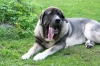 Filename=after_the_walk.JPG
Filesize=235KiB
Dimensions=640x427
Date added=%773 %26, %2011 after_the_walk.JPG