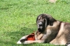 Filename=erbin_kaveri.JPG
Filesize=229KiB
Dimensions=640x427
Date added=%743 %23, %2012 erbin_kaveri.JPG