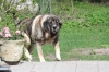 Filename=erbin_kaveri1.JPG
Filesize=218KiB
Dimensions=640x427
Date added=%743 %23, %2012 erbin_kaveri1.JPG