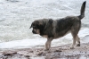 Filename=joulukuu_erbi.JPG
Filesize=198KiB
Dimensions=640x427
Date added=%912 %25, %2011 joulukuu_erbi.JPG