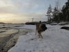 Filename=joulupäivänä1.JPG
Filesize=92KiB
Dimensions=640x480
Date added=%911 %25, %2011 joulupäivänä1.JPG