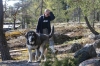 Filename=karkulainen.JPG
Filesize=126KiB
Dimensions=640x427
Date added=%801 %17, %2009 karkulainen.JPG