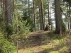 Filename=kvanttu_vahtii.JPG
Filesize=183KiB
Dimensions=640x480
Date added=%742 %23, %2012 kvanttu_vahtii.JPG