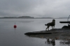 Filename=lokakuiset_uimarit2.jpg
Filesize=41KiB
Dimensions=640x427
Date added=%785 %27, %2009 lokakuiset_uimarit2.jpg