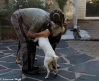 Filename=sa.jpg
Filesize=461KiB
Dimensions=1842x1500
Date added=%656 %05, %2019 sa.jpg