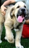Filename=CHE2.jpg
Filesize=16KiB
Dimensions=184x299
Date added=%382 %24, %2011 CHE2.jpg