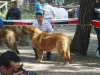 Filename=DSC02414.JPG
Filesize=120KiB
Dimensions=640x480
Date added=%673 %20, %2010 DSC02414.JPG