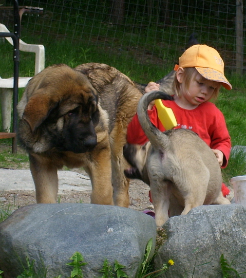 My daughter Nanna is not too excited that she gets friends doing sandcastles
