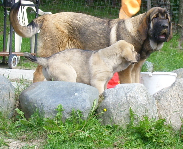 Lilja and Wanda on the sandbox :)
