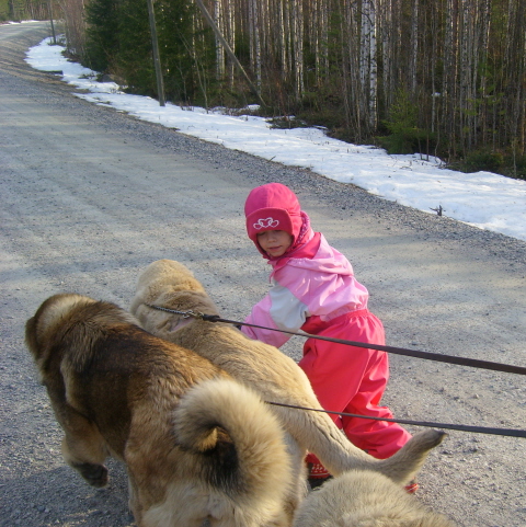 Nanna ( 5 yrs) jogging with our young girls Wanda and Ansa :)
