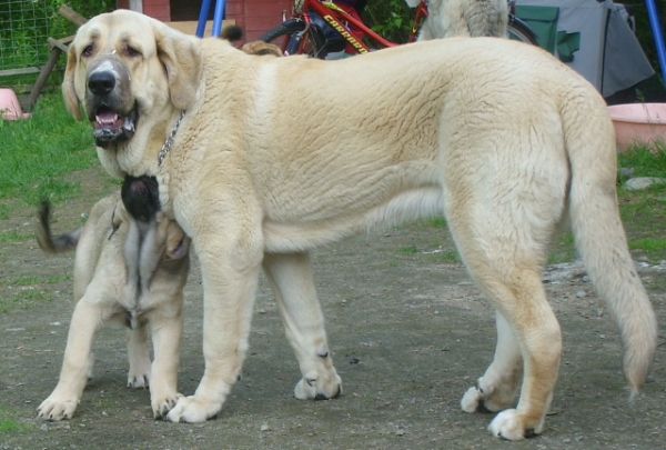 Mauno with his little friend Lilja
