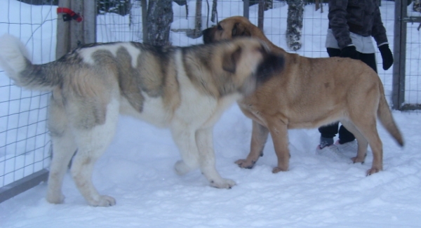 Uffa and Nelly
