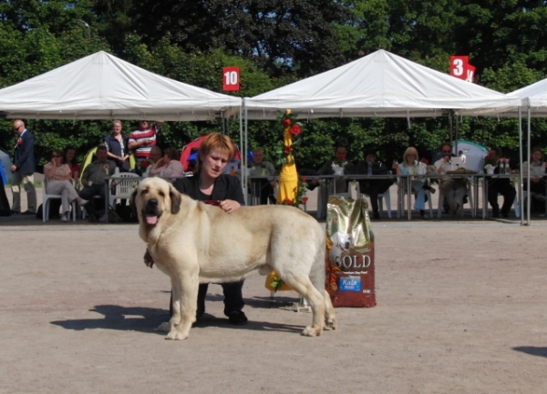 Ramonet -  International Show Kotka, Finland 13.06.2009
الكلمات الإستدلالية(لتسهيل البحث): 2009