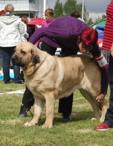 Nelly Tornado Erben
