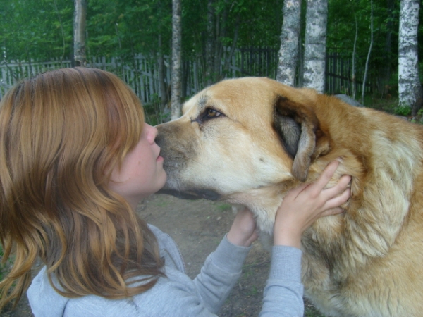 Tico loves children also.
Keywords: marimastiffs