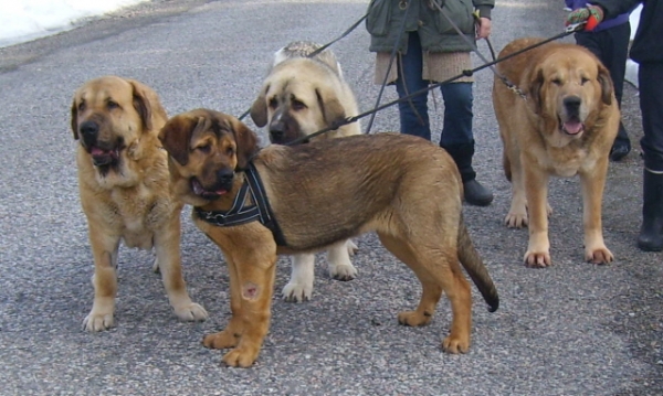 Posing after walking
