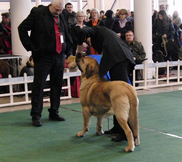 Nelly Tornado Erben
Judge checking her teeths
