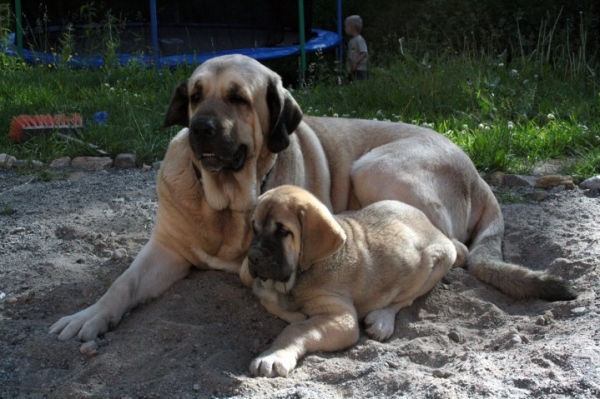 Ramonet with his new little brother Antero
