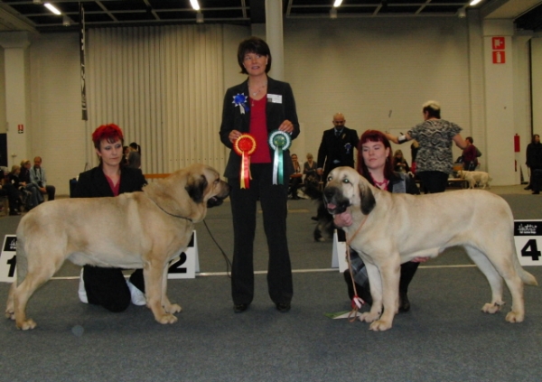 Ramonet and Penelope Tornado Erben ; Finnish Winners 2009
