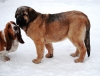 Filename=02.jpg
Filesize=163KiB
Dimensions=670x514
Date added=%943 %10, %2010 02.jpg