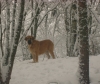 Filename=1.jpg
Filesize=216KiB
Dimensions=570x480
Date added=%485 %11, %2009 1.jpg
