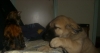Filename=14_10_09_085.jpg
Filesize=120KiB
Dimensions=639x341
Date added=%388 %16, %2009 14_10_09_085.jpg