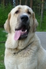Filename=16_6_10_031.jpg
Filesize=204KiB
Dimensions=431x639
Date added=%363 %17, %2010 16_6_10_031.jpg