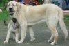 Filename=16_6_10_082.jpg
Filesize=221KiB
Dimensions=640x432
Date added=%364 %17, %2010 16_6_10_082.jpg