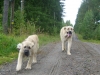 Filename=17_9_10_001.jpg
Filesize=271KiB
Dimensions=631x479
Date added=%872 %21, %2010 17_9_10_001.jpg
