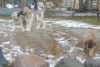 Filename=18_10_09_031.jpg
Filesize=217KiB
Dimensions=639x432
Date added=%390 %19, %2009 18_10_09_031.jpg