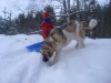 Filename=19_3_10_013.jpg
Filesize=183KiB
Dimensions=640x480
Date added=%576 %20, %2010 19_3_10_013.jpg