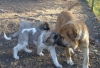 Filename=22_10_09_075.jpg
Filesize=268KiB
Dimensions=639x436
Date added=%650 %24, %2009 22_10_09_075.jpg