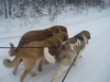 Filename=31_1_10_004.jpg
Filesize=125KiB
Dimensions=640x480
Date added=%853 %31, %2010 31_1_10_004.jpg